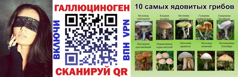 дарнет шоп  Полысаево  Псилоцибиновые грибы ЛСД 