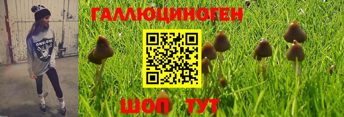 где продают наркотики  Псилоцибиновые грибы ЛСД  Вход с VPN  Полысаево 