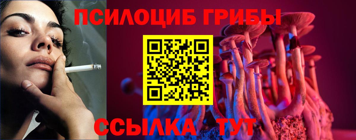Галлюциногенные грибы MAGIC MUSHROOMS Полысаево